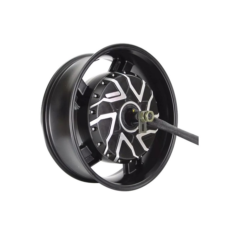 QS 273 8000W 72V 6.0x17inch El - Qs Motor 273 8000W Hub Motor 评论和价格